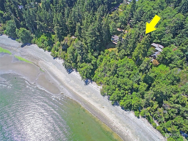 884 E Seabluff Ter, Coupeville, WA 98239 - photo 8