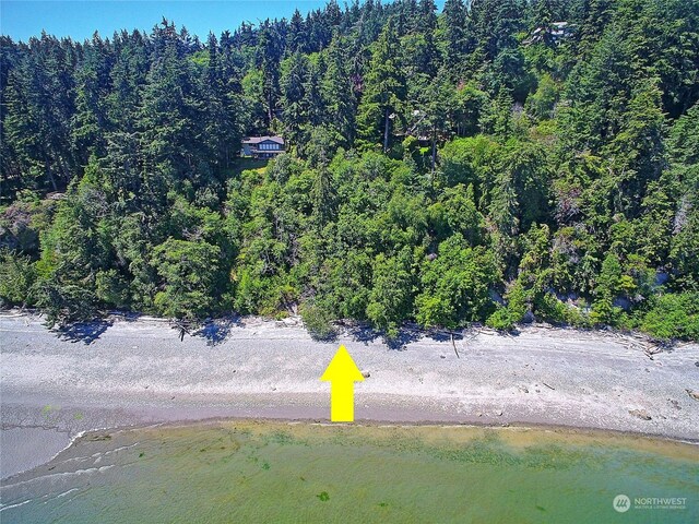 884 E Seabluff Ter, Coupeville, WA 98239 - photo 10