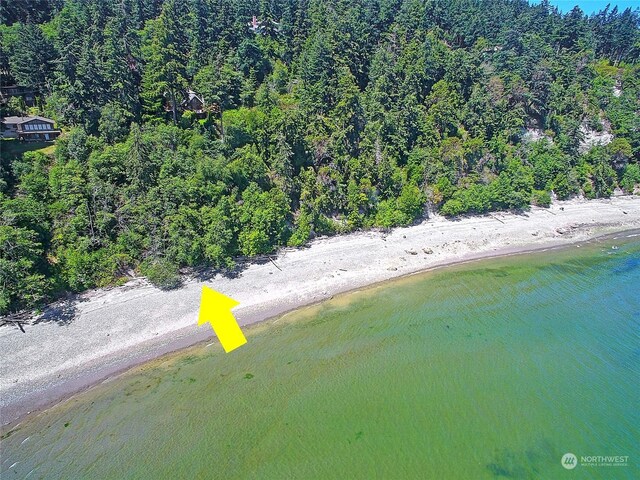 884 E Seabluff Ter, Coupeville, WA 98239 - photo 11