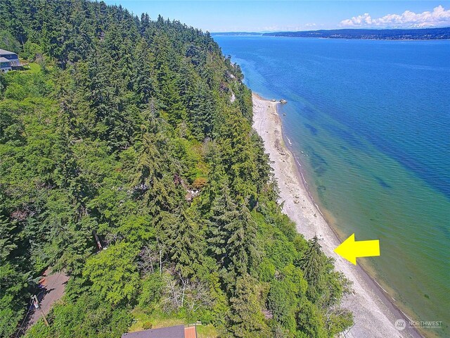 884 E Seabluff Ter, Coupeville, WA 98239 - photo 13