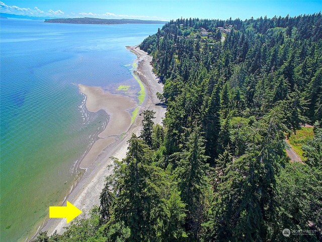 884 E Seabluff Ter, Coupeville, WA 98239 - photo 14