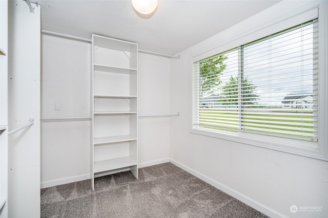 walk in closet featuring carpet flooring