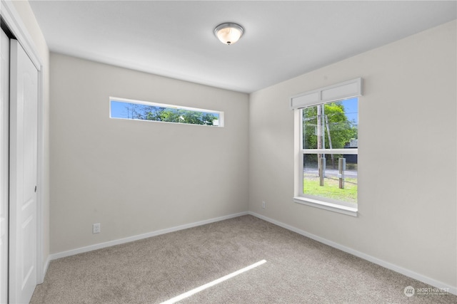 spare room with carpet floors and plenty of natural light