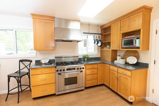 kitchen with appliances with stainless steel finishes, island range hood, light wood-type flooring, and a skylight