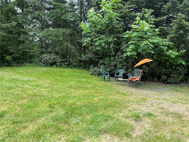 525 Meade Hill Rd, Glenoma, WA 98336 - view of grassy yard