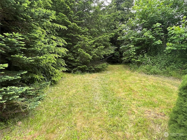 525 Meade Hill Rd, Glenoma, WA 98336 - view of yard featuring a forest view