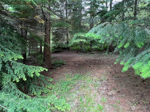 view of landscape