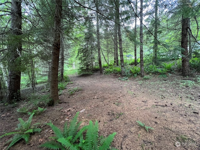 view of local wilderness