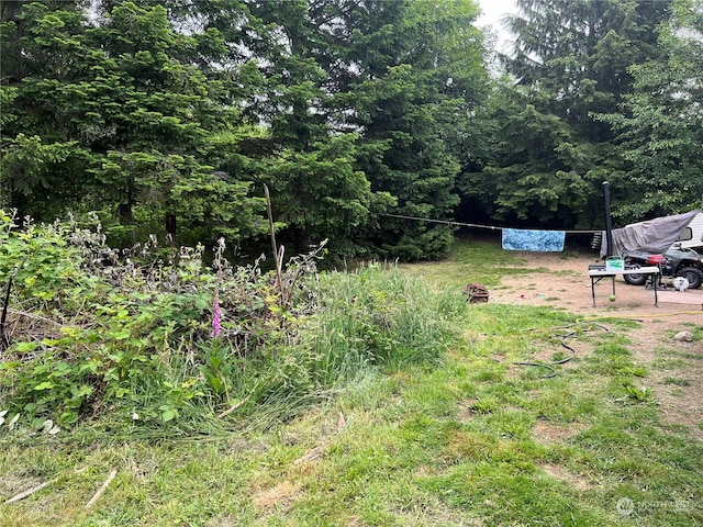 525 Meade Hill Rd, Glenoma, WA 98336 - view of yard