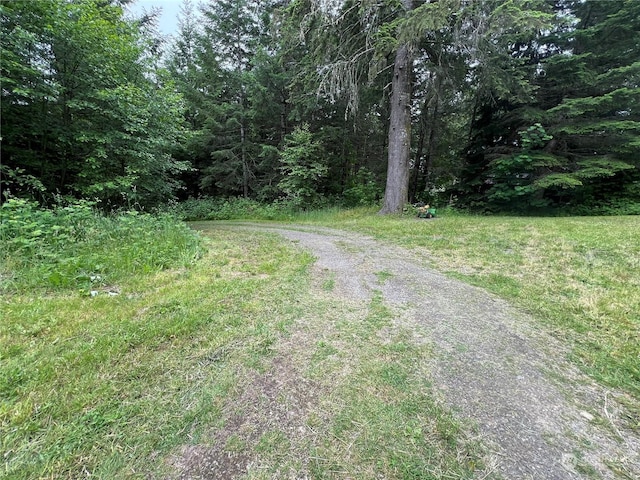 525 Meade Hill Rd, Glenoma, WA 98336 - view of road with a wooded view