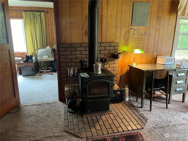 details featuring carpet, wood walls, a wood stove, and electric panel