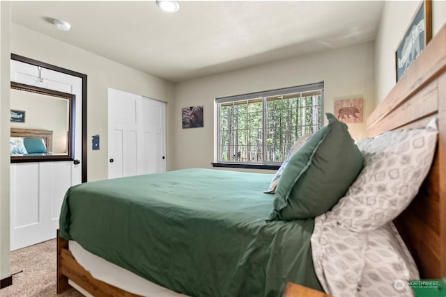 bedroom featuring carpet and a closet