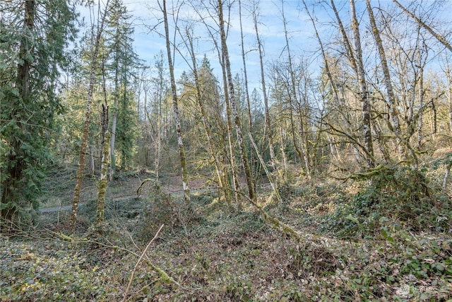 133 Justin Pl, Longview WA, 98632 land for sale