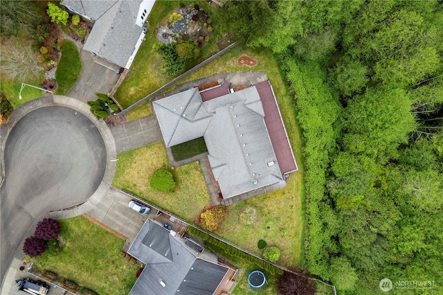 bird's eye view