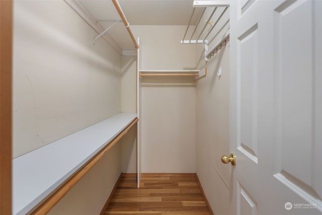 walk in closet with light wood-type flooring