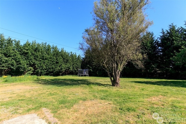 view of yard with a trampoline