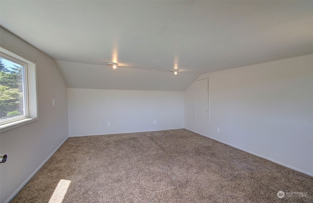 bonus room with lofted ceiling and carpet flooring