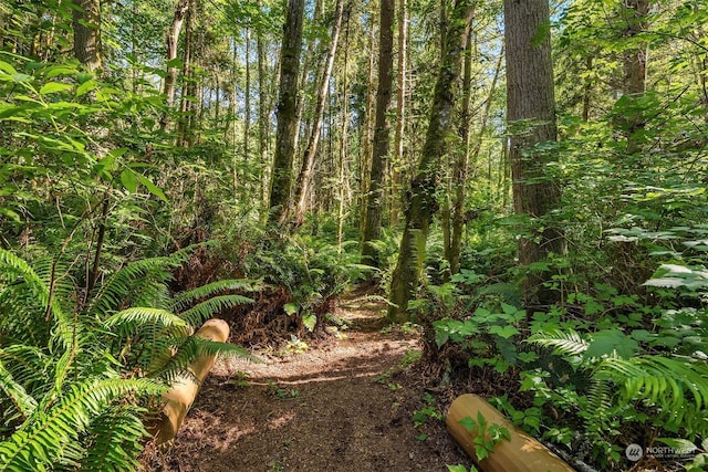 13 White Rock Ln, Port Ludlow, WA 98365 - photo 37