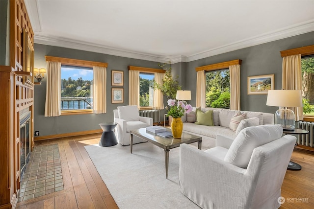 living area featuring light wood finished floors, radiator heating unit, crown molding, and a glass covered fireplace