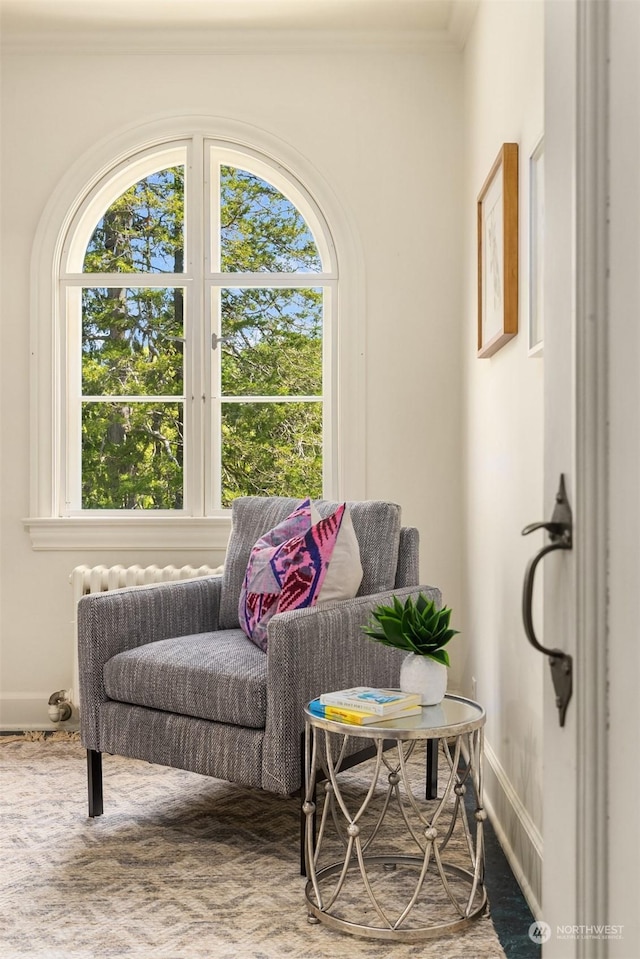 living area featuring ornamental molding and baseboards