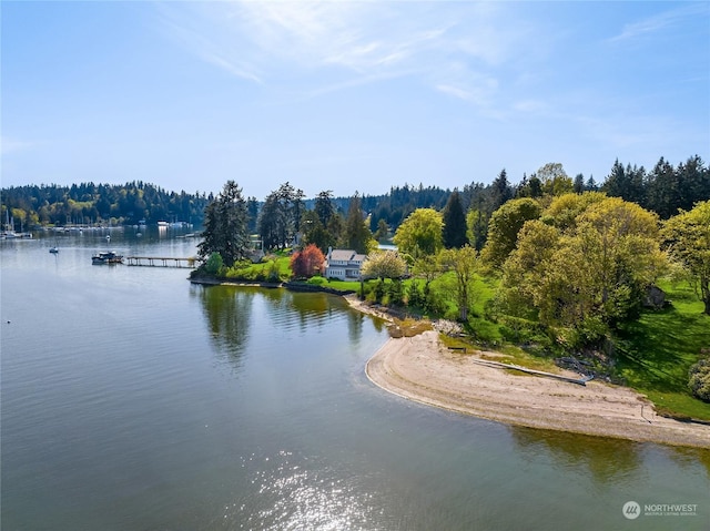 water view featuring a forest view