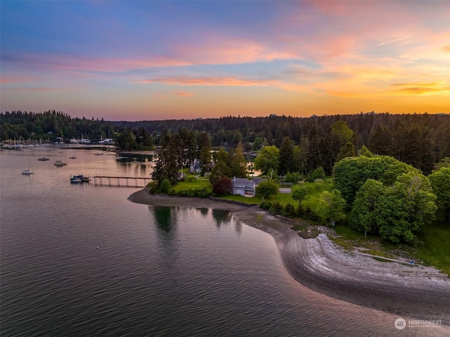 aerial view featuring a water view and a forest view