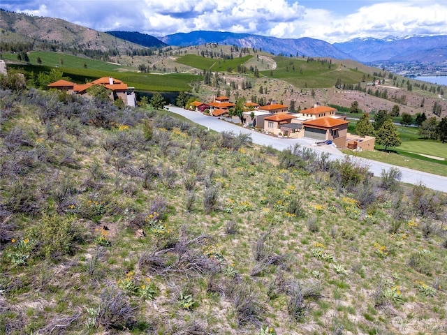 225 Bandera Way, Chelan, WA 98816