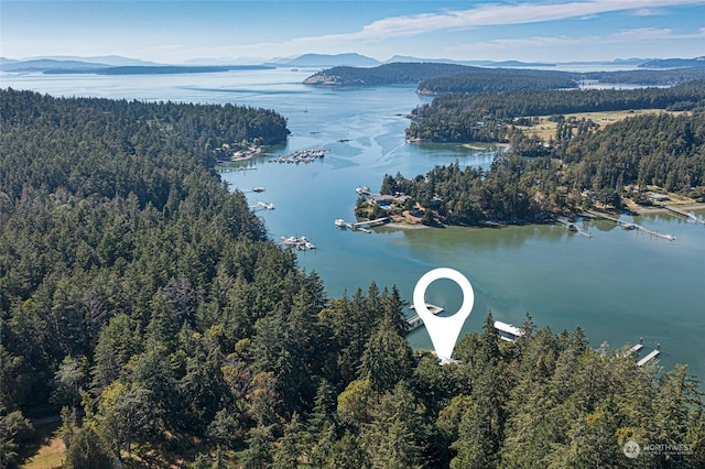 bird's eye view featuring a forest view and a water and mountain view