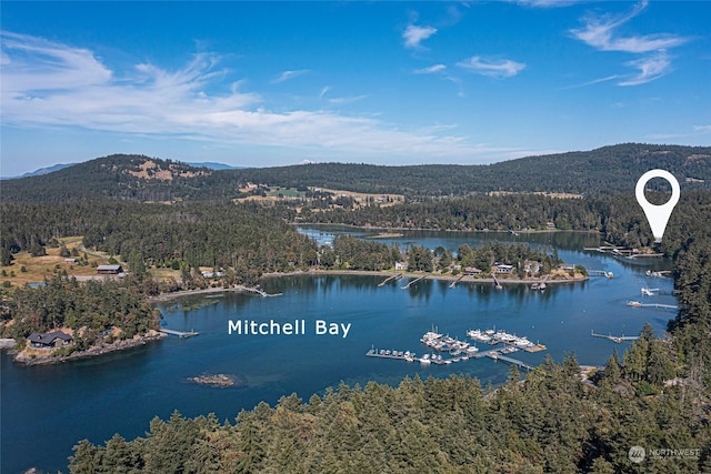 aerial view with a water and mountain view and a wooded view