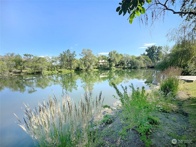 view of water feature