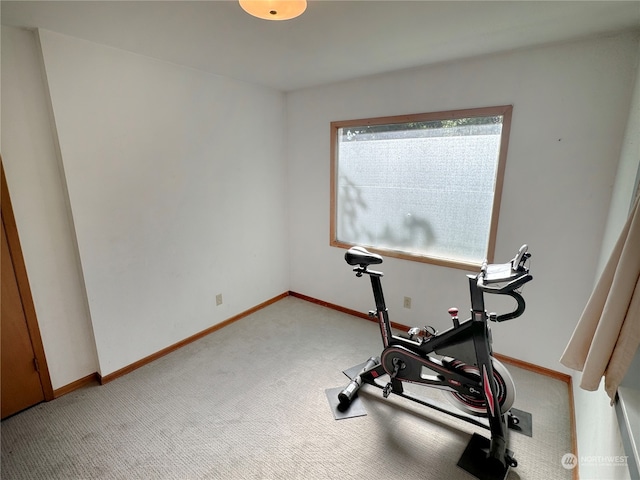 exercise area featuring carpet floors