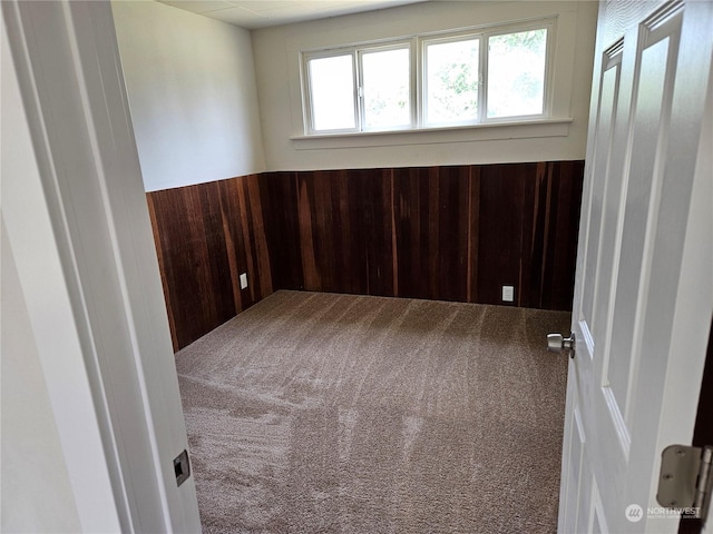 spare room with carpet and wooden walls