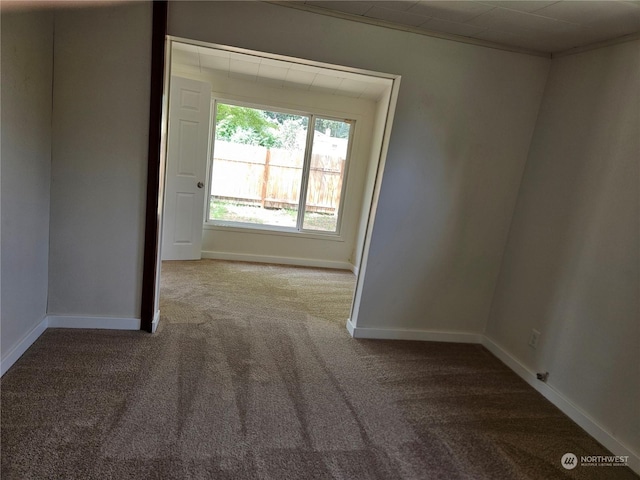 spare room featuring crown molding and carpet floors