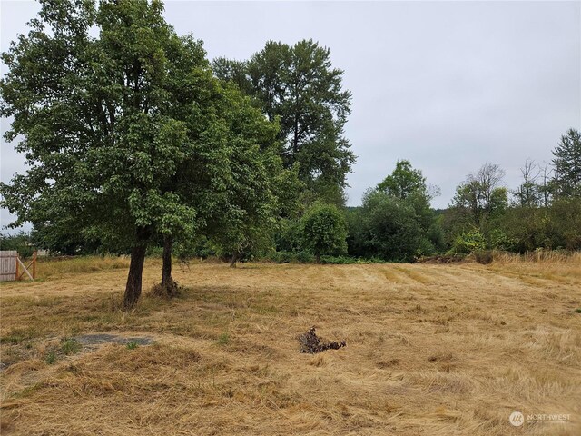 view of local wilderness