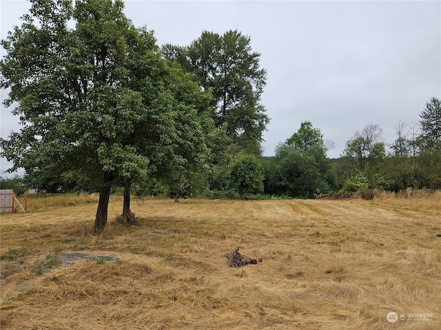 307 E Roanoke St, Centralia, WA 98531 - view of local wilderness