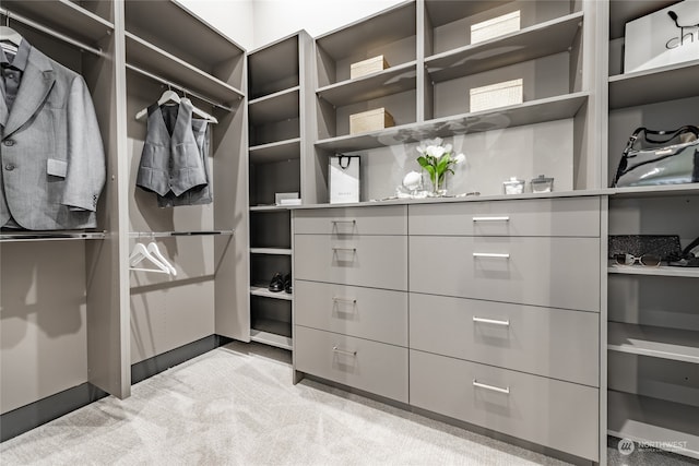 spacious closet with light colored carpet