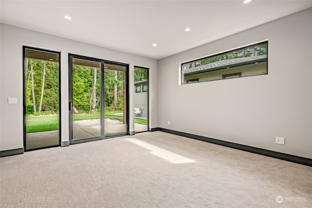 carpeted empty room with plenty of natural light