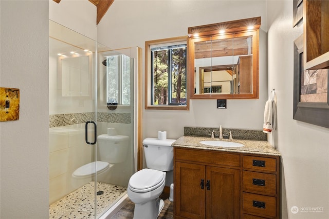 bathroom featuring toilet, vanity, and a shower with door