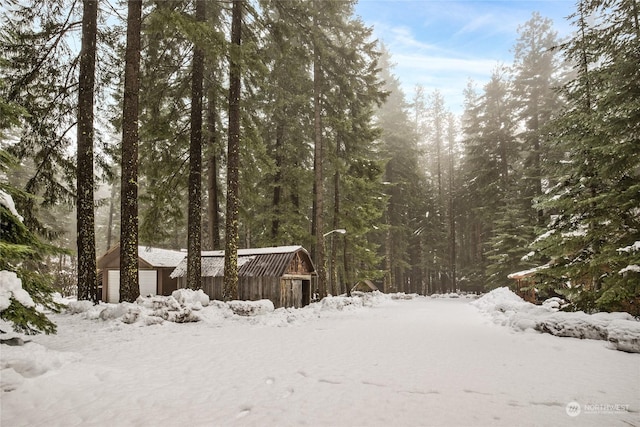 view of snowy landscape