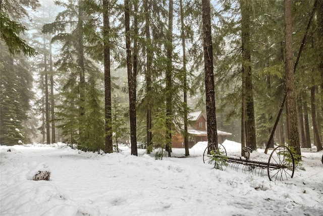 view of snowy landscape