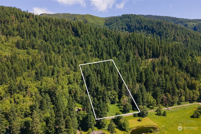 33311 Mount Tahoma Canyon Rd E, Ashford WA, 98304 land for sale