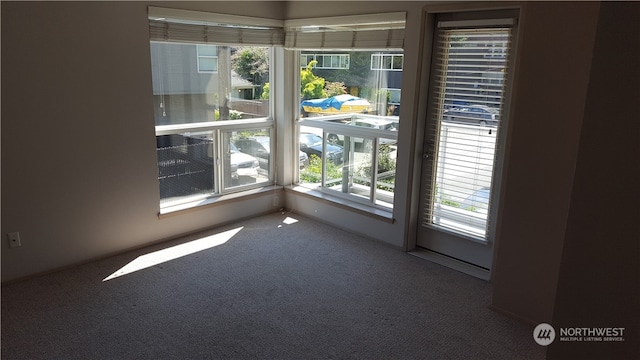 carpeted spare room with a healthy amount of sunlight