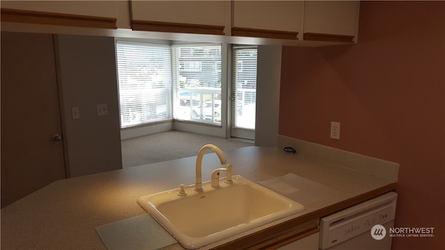 kitchen featuring dishwasher and sink