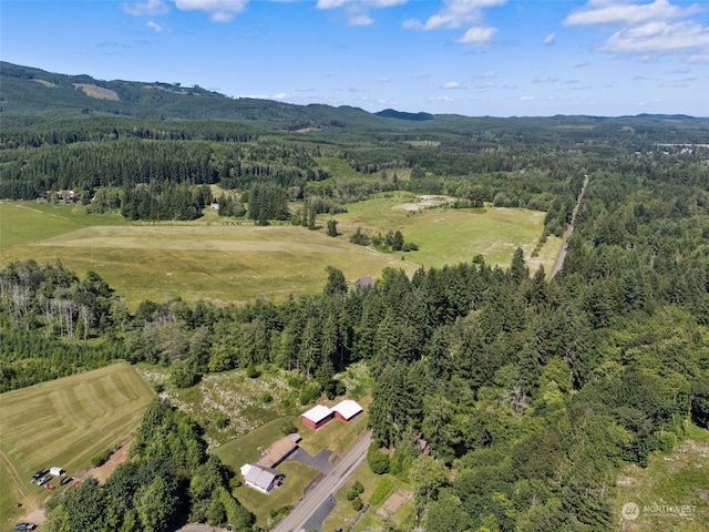 drone / aerial view featuring a mountain view