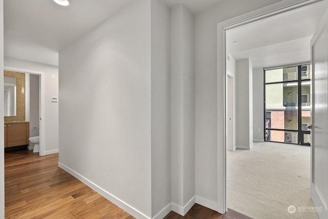 hallway featuring floor to ceiling windows and hardwood / wood-style floors