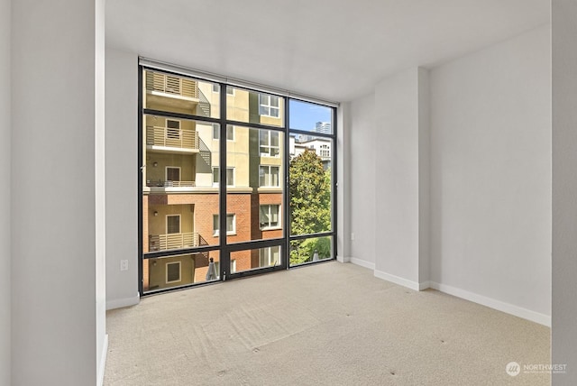 carpeted spare room featuring a wealth of natural light and floor to ceiling windows