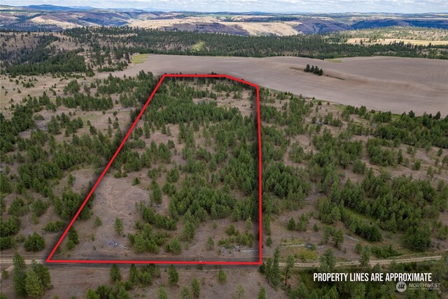 2 Prairie Ln, Creston, WA 99117 - photo 1