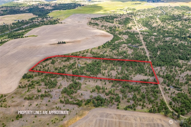 2 Prairie Ln, Creston, WA 99117 - photo 2