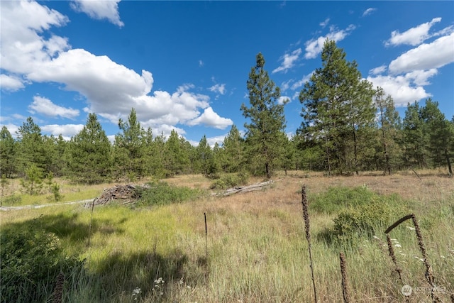 2 Prairie Ln, Creston, WA 99117 - photo 4