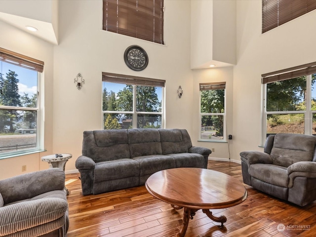 living room featuring plenty of natural light and hardwood / wood-style flooring